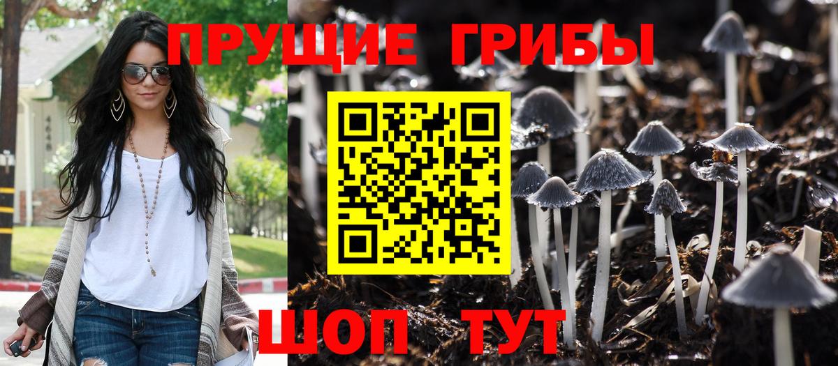 Галлюциногенные грибы Magic Shrooms  Вход с VPN  Полысаево  Галлюциногенные грибы ЛСД 